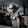 Control (Ft. Chris Brown & Pitbull)