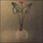 Solder Me (Seed Mix 1)