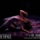Sweet Dreams (Live At Wynn Las Vegas)